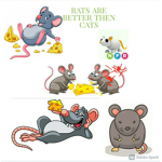 HOME FOR LITTLE RATS