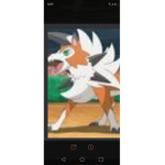 WE LOV POKEMON