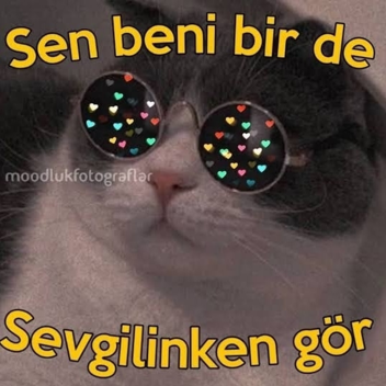 Doğum GÜNÜ oyunu