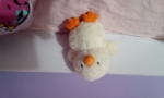 Duckling teddys