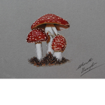Welcome Mushroom !