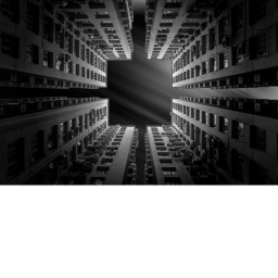 The Abyss