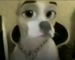 cool bo but why