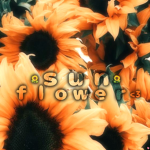 s u n f l o w e r<3