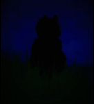 MRM_M9