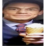 The bush army official