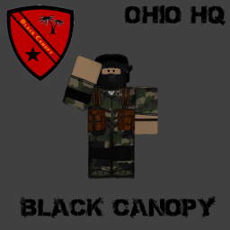 Black Canopy I Ohio HQ