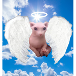 Children of Bingus