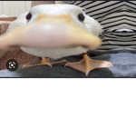Periodtttttttttttttttttttttttttt