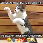 The BillCollectors