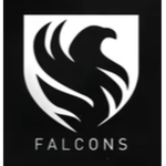 Falcons Studio