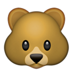 the pro bear club
