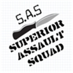 SAS 141