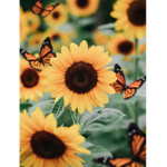 Aesthetic_Sunflower Hangout