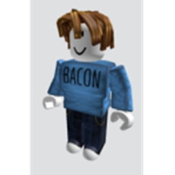Bacon Support