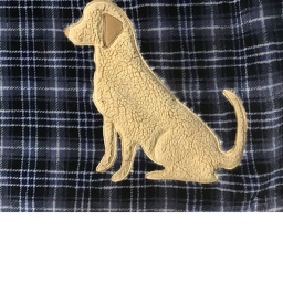 Puppy Kingdoms Training Grounds!