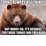 Master Bear Squad