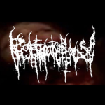 nightmarehouse cult