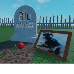 My Dog Died