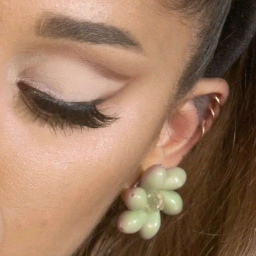 🌿