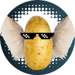 potato ear club