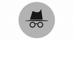 1ncognito