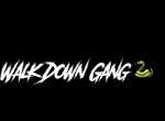 (WD) WALKDOWN
