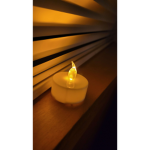 Evernight Arts