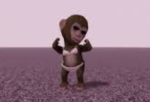 TheMonkeyRaiders
