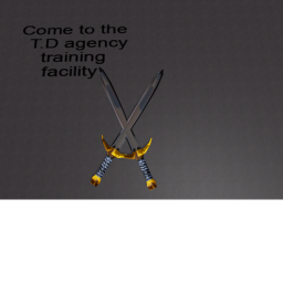 T.D Inc training sword facility