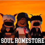 söul clothing homestore