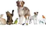 Animal Lovers/Carers =D