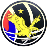 Republic of Korea Fighter Wing