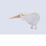 squard kiwi bird