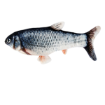 Flopping Fish Squad