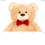 Bear big