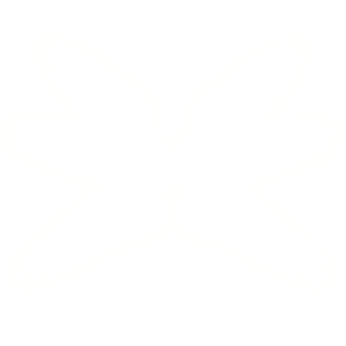 [GLOWING] BIG Angel Wings White