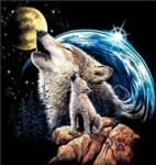 EXTREME WOLFLOVERS