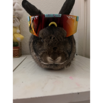 Bunbunsgroup