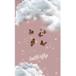 butterfly _xoxo