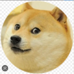 Giant doge
