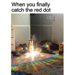 robux meow