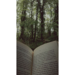 || nAtuRe~ViBes ||