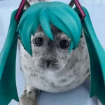 terminally stupid Group Thumbnail