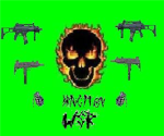 WSR