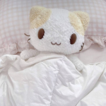 moonypwups ˎ