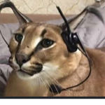 Floppa god gamer