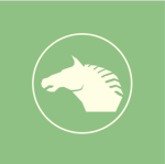 Divine Equine Sports