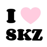 SKZ STAY GROUP!
