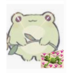 Froggy4000